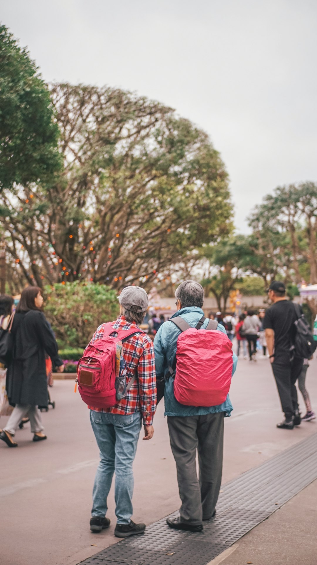elderly group walking in park